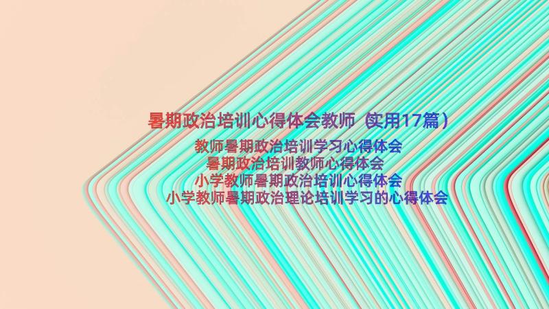 暑期政治培训心得体会教师（实用17篇）