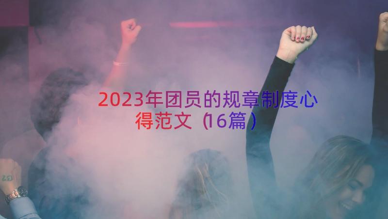 2023年团员的规章制度心得范文（16篇）