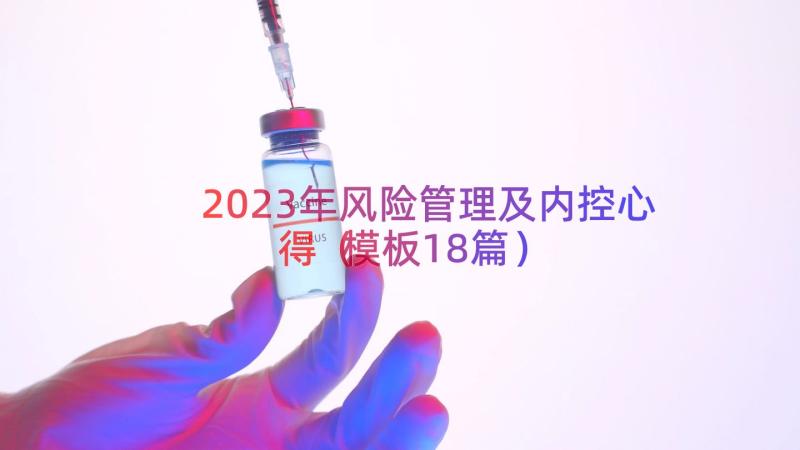 2023年风险管理及内控心得模板