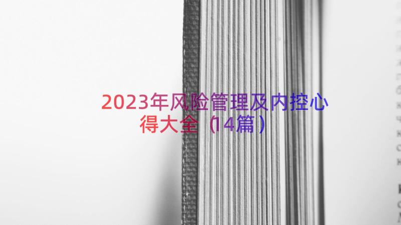 2023年风险管理及内控心得大全（14篇）