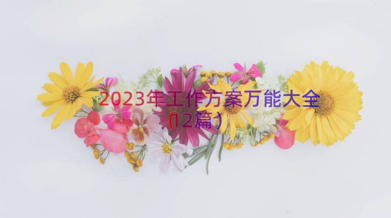 2023年工作方案万能大全（12篇）