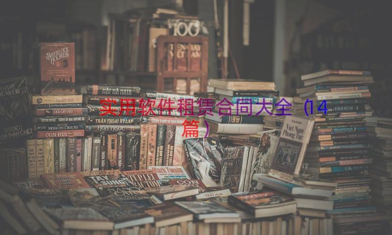 实用软件租赁合同大全（14篇）