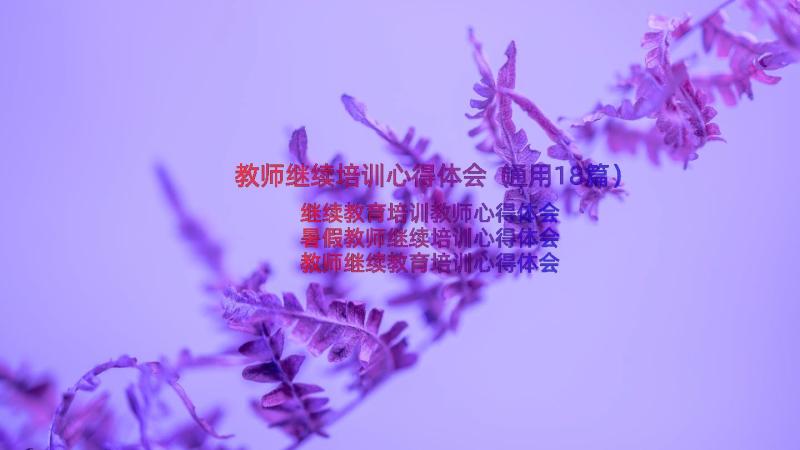 教师继续培训心得体会（通用18篇）