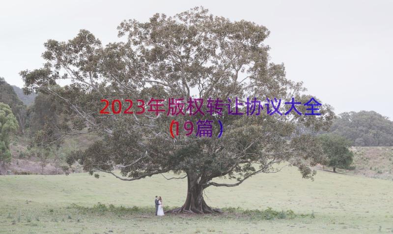 2023年版权转让协议大全（19篇）