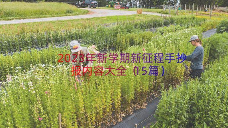 2023年新学期新征程手抄报内容大全（15篇）