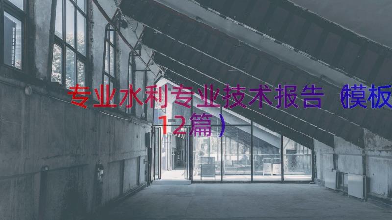 专业水利专业技术报告（模板12篇）