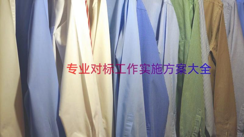 专业对标工作实施方案大全（16篇）