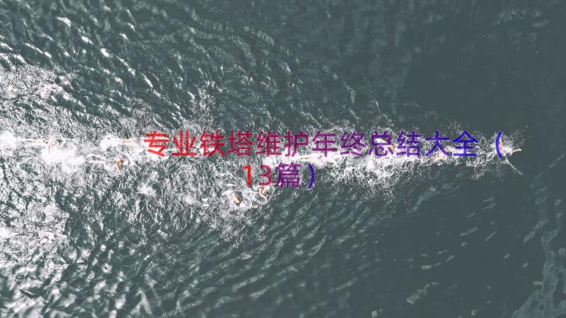 专业铁塔维护年终总结大全（13篇）