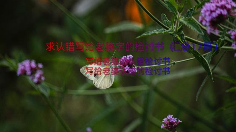 求认错写给老婆字的检讨书（汇总17篇）