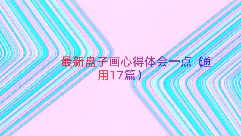 最新盘子画心得体会一点（通用17篇）