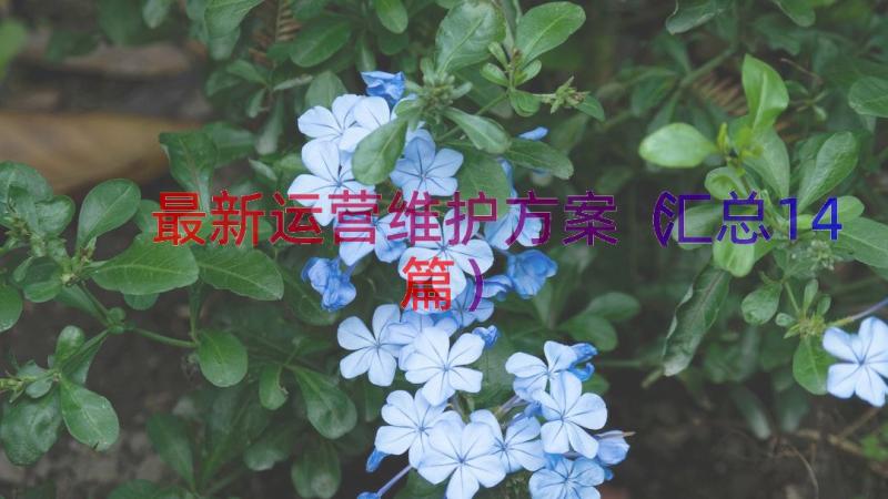 最新运营维护方案（汇总14篇）