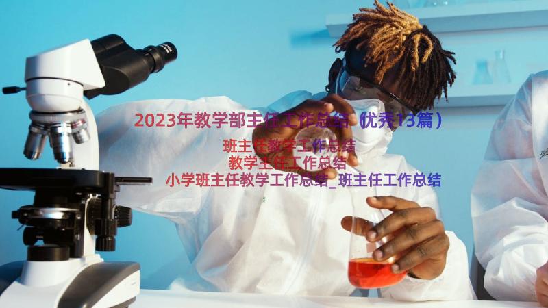 2023年教学部主任工作总结（优秀13篇）