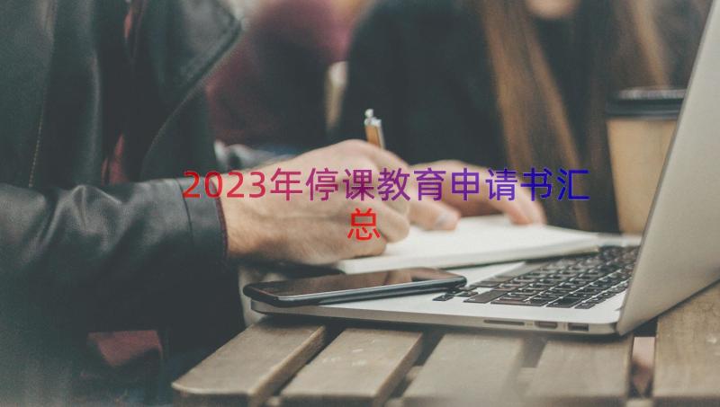 2023年停课教育申请书（汇总17篇）