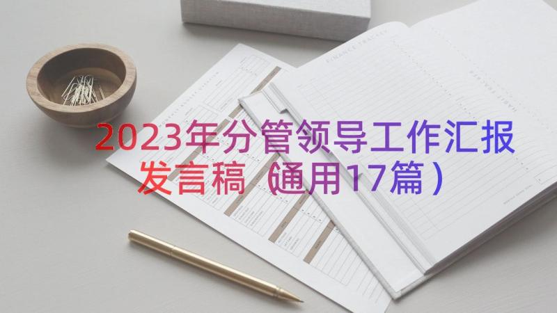 2023年分管领导工作汇报发言稿（通用17篇）