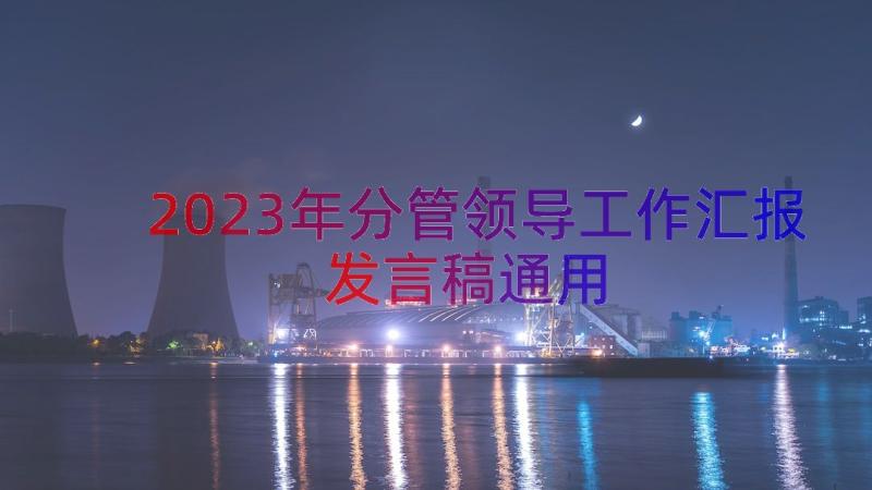 2023年分管领导工作汇报发言稿（通用14篇）