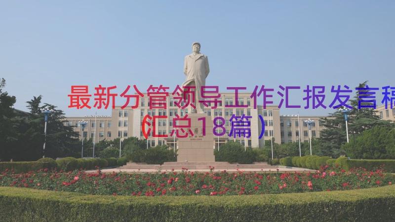 最新分管领导工作汇报发言稿汇总