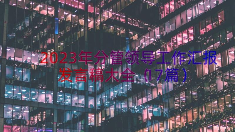 2023年分管领导工作汇报发言稿大全（17篇）