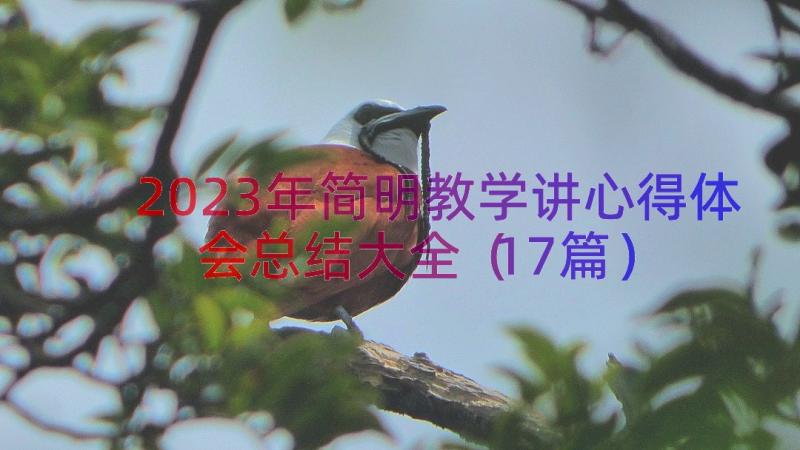 2023年简明教学讲心得体会总结大全（17篇）