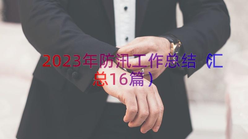 2023年防汛工作总结（汇总16篇）