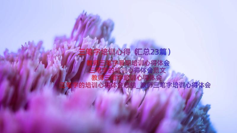 三笔字培训心得（汇总23篇）