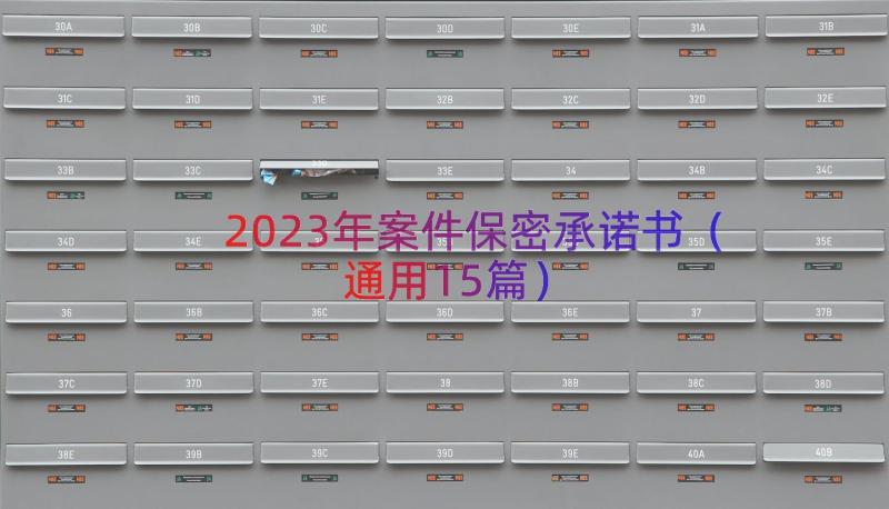 2023年案件保密承诺书（通用15篇）