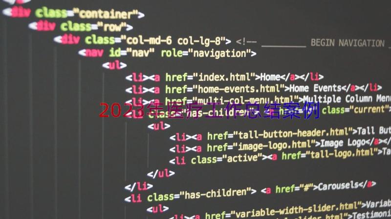 2023年医疗工作总结（案例17篇）