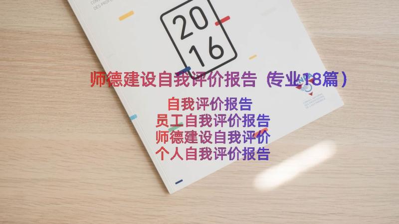 师德建设自我评价报告（专业18篇）