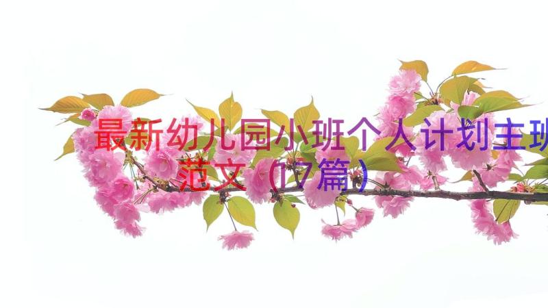 最新幼儿园小班个人计划主班范文（17篇）