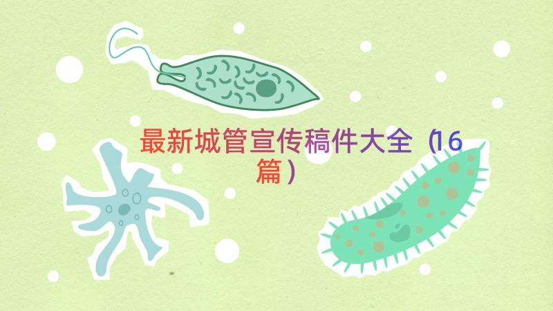 最新城管宣传稿件大全（16篇）