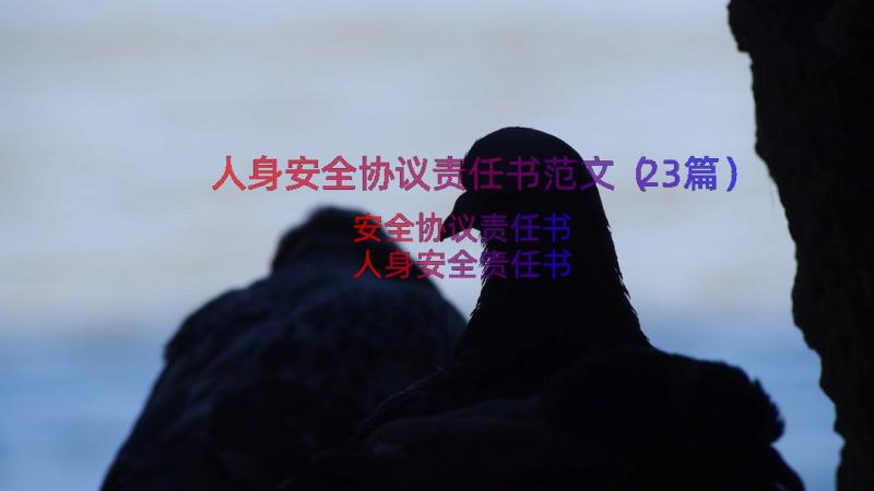 人身安全协议责任书范文（23篇）