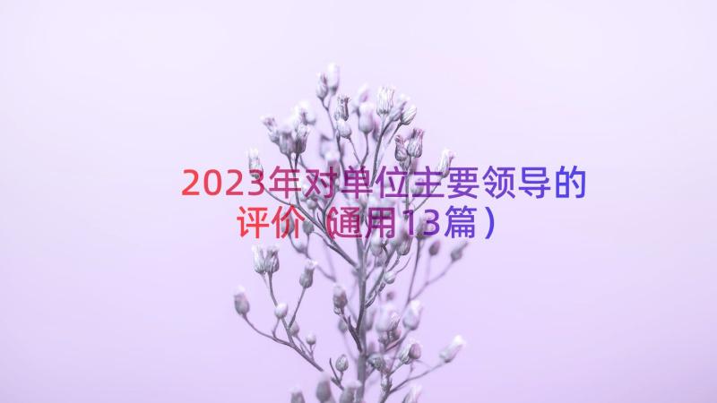 2023年对单位主要领导的评价（通用13篇）