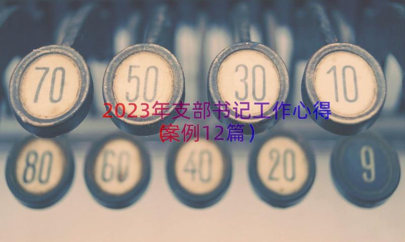 2023年支部书记工作心得（案例12篇）