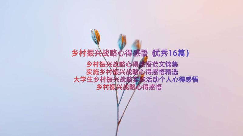 乡村振兴战略心得感悟（优秀16篇）