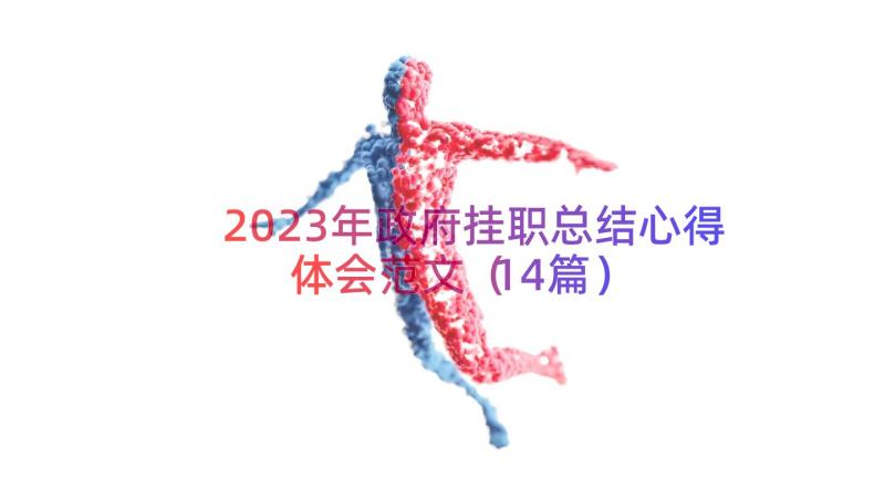 2023年政府挂职总结心得体会范文（14篇）