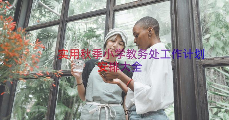 实用秋季小学教务处工作计划安排大全（17篇）