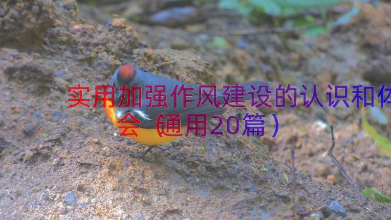 实用加强作风建设的认识和体会（通用20篇）