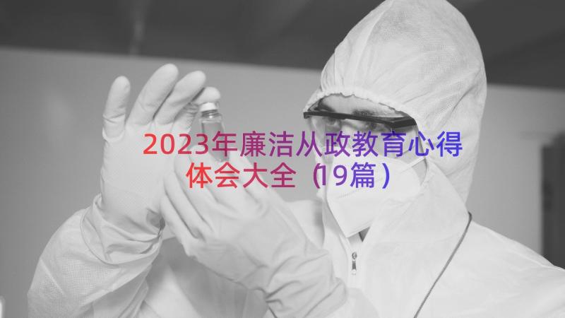 2023年廉洁从政教育心得体会大全（19篇）