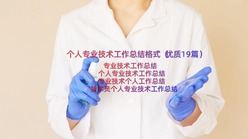 个人专业技术工作总结格式（优质19篇）