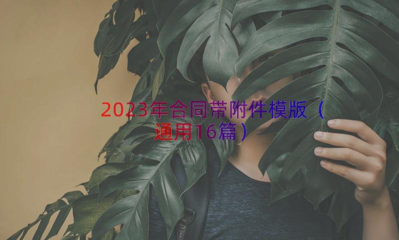 2023年合同带附件模版（通用16篇）