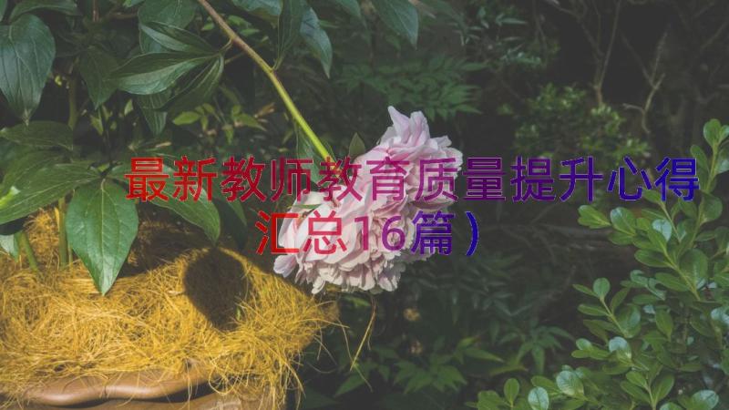 最新教师教育质量提升心得（汇总16篇）