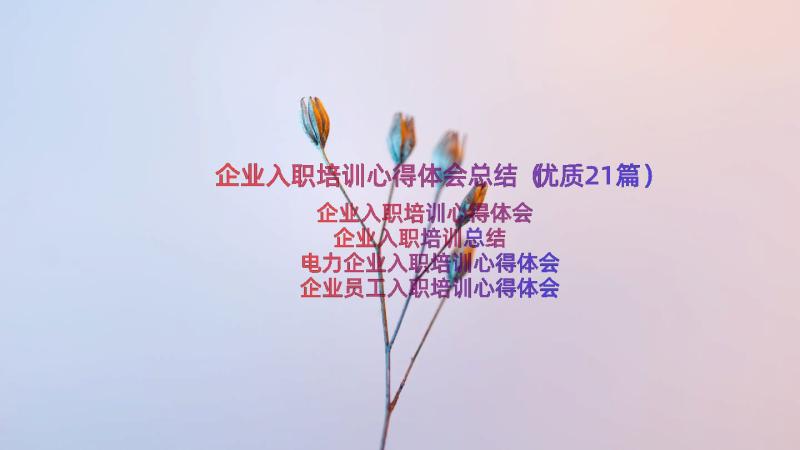 企业入职培训心得体会总结（优质21篇）