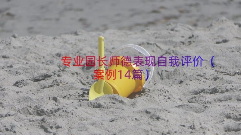 专业园长师德表现自我评价（案例14篇）