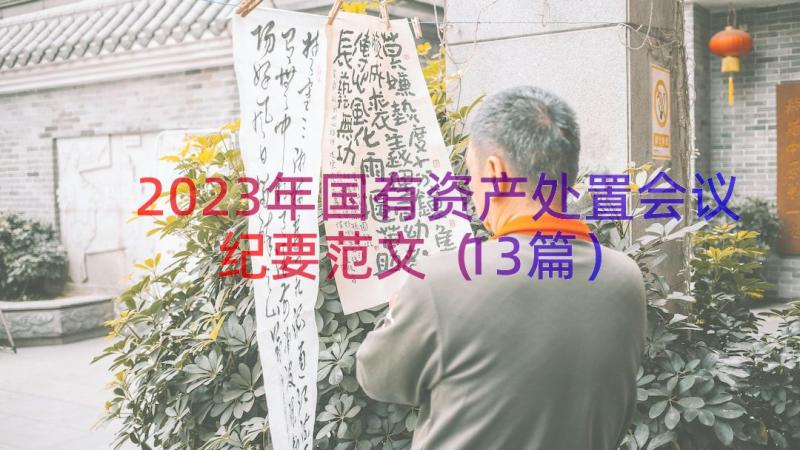 2023年国有资产处置会议纪要范文（13篇）