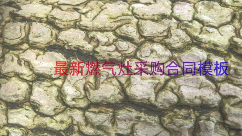 最新燃气灶采购合同（模板17篇）