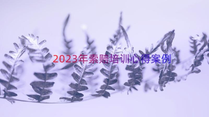 2023年索赔培训心得（案例12篇）