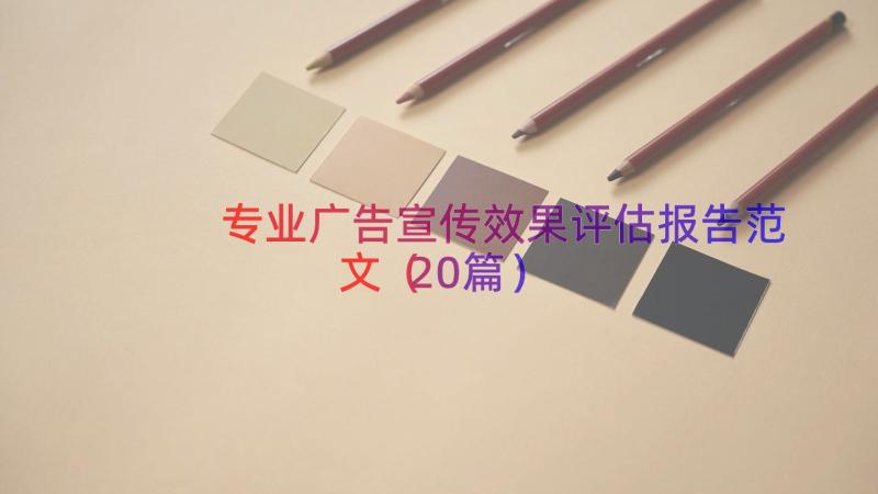 专业广告宣传效果评估报告范文（20篇）