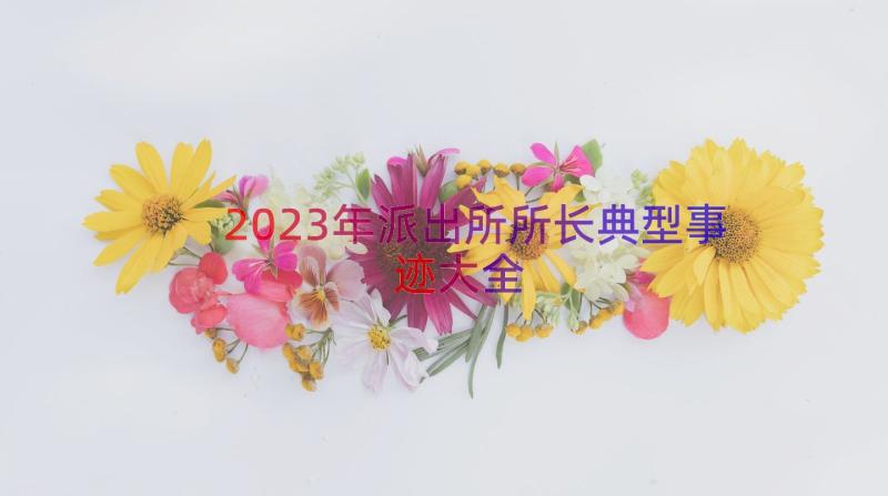 2023年派出所所长典型事迹大全（12篇）