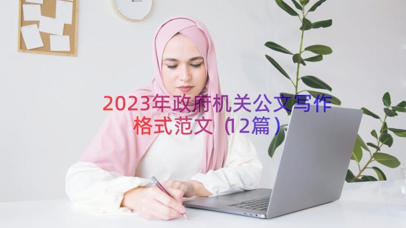 2023年政府机关公文写作格式范文（12篇）