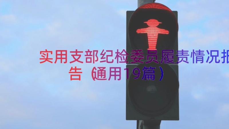 实用支部纪检委员履责情况报告（通用19篇）