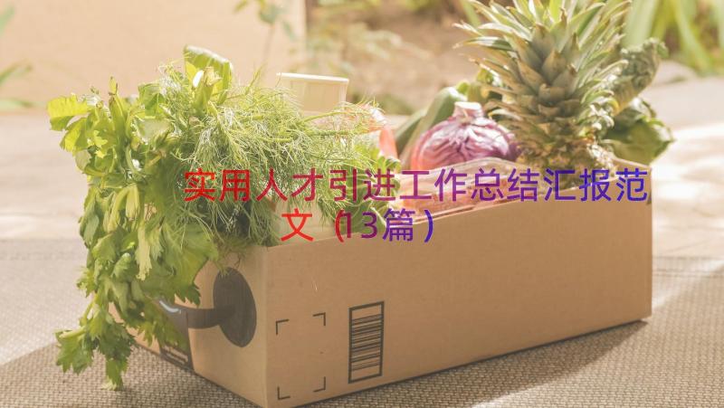 实用人才引进工作总结汇报范文（13篇）